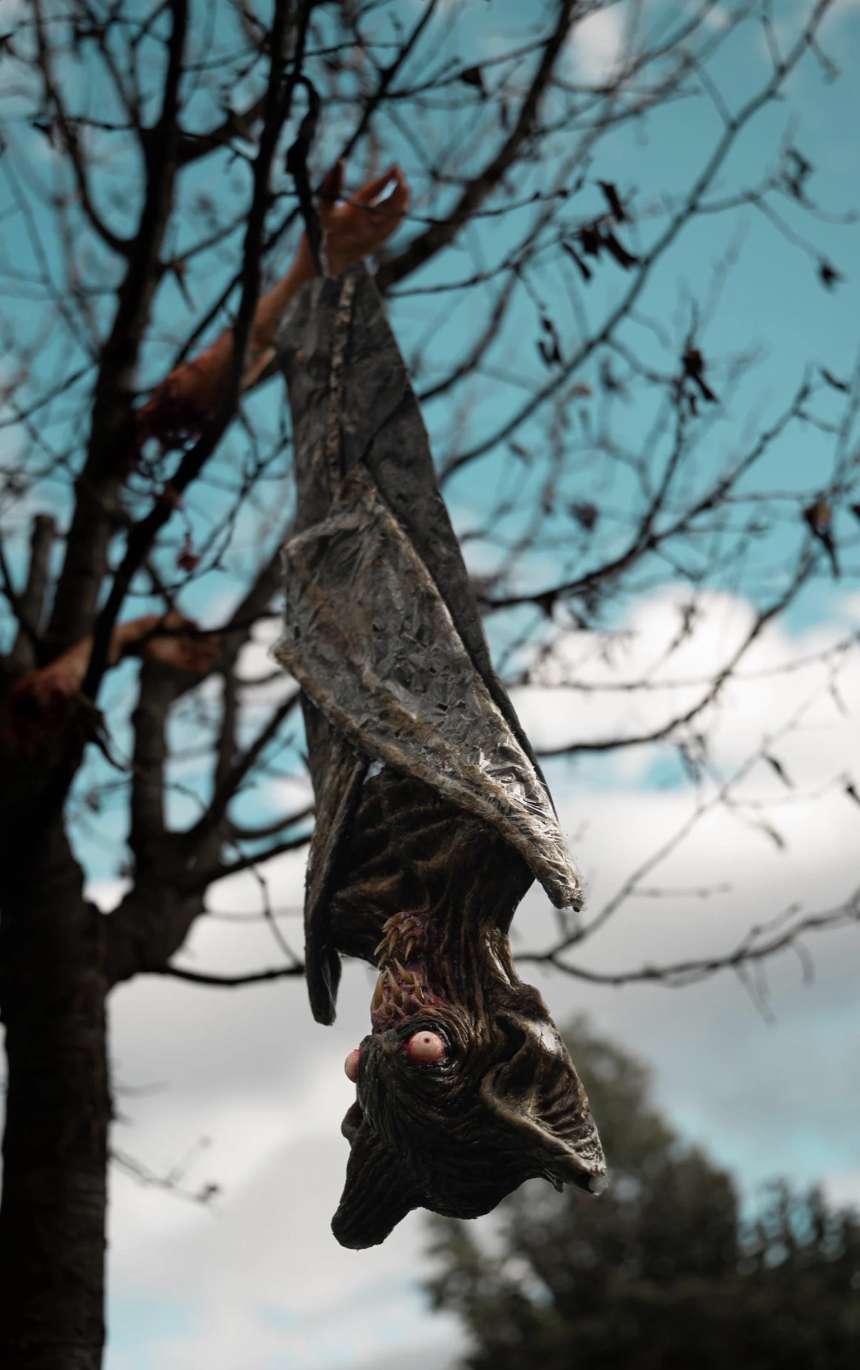 Petrifying Horror Vampire Bat — view 2