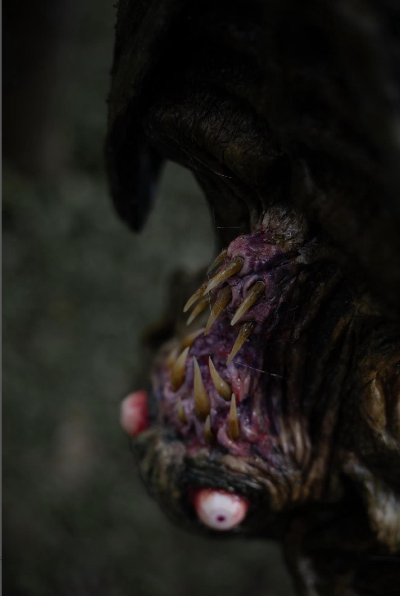 Petrifying Horror Vampire Bat — view 9