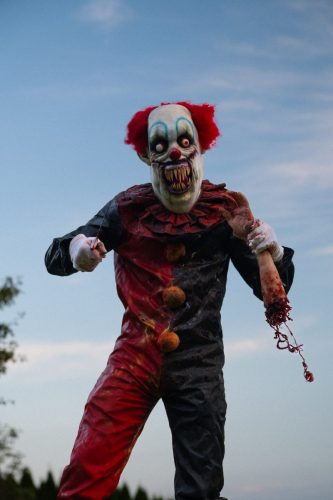 insane_photos-16