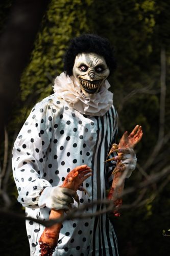 insane_photos-71